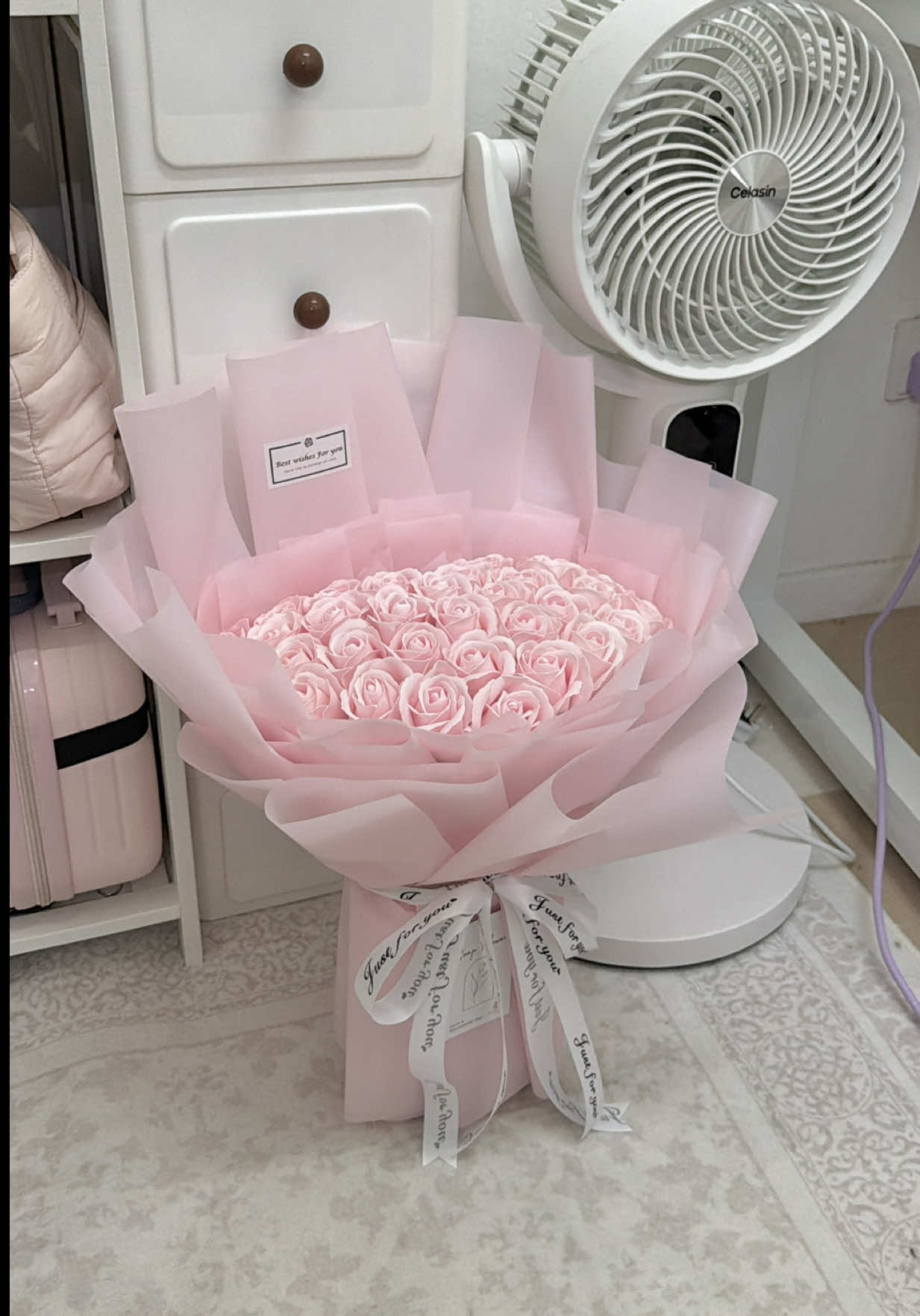 @haqifaays