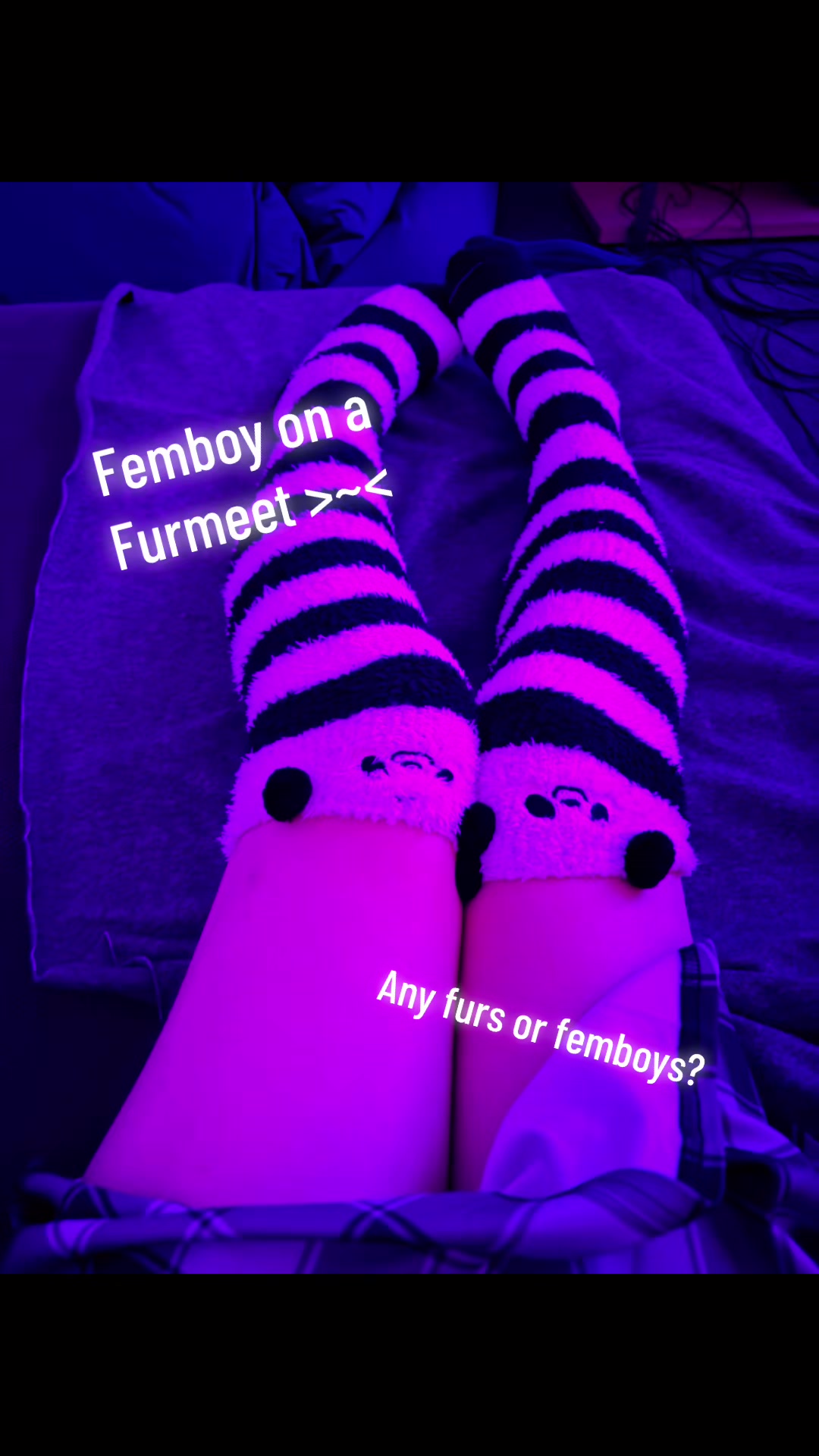 @Femboy_Nily
