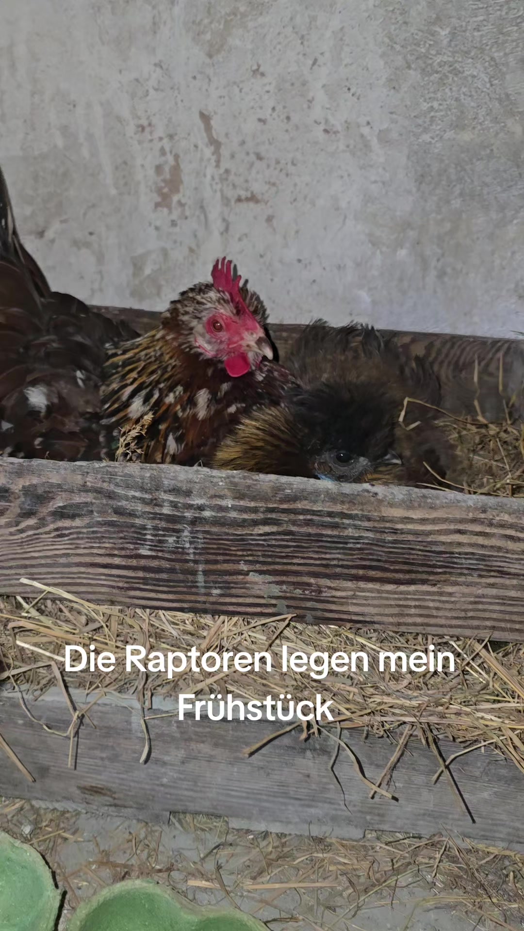 @Mandy-Katharina Neis