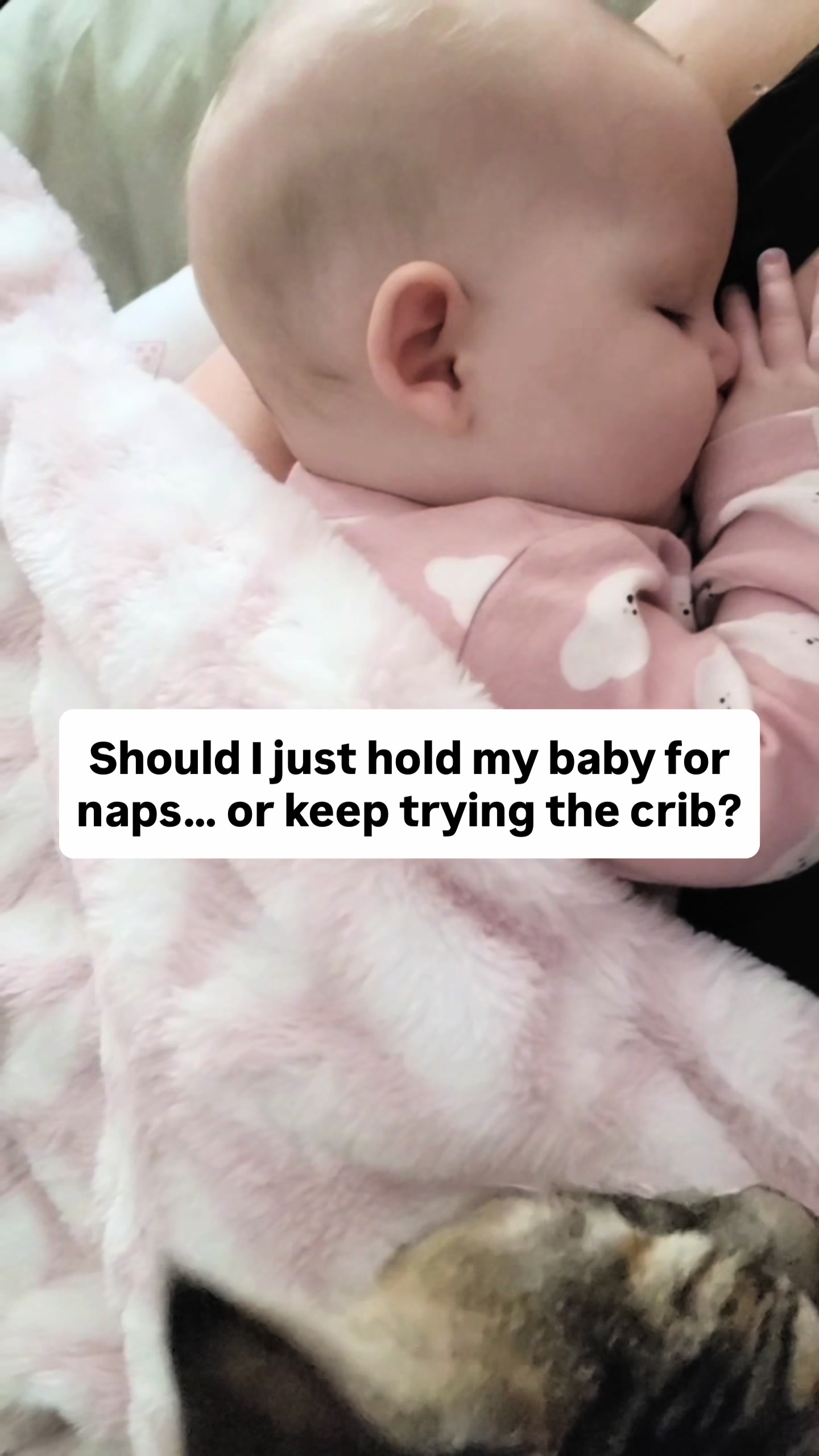 @Cat 👋 Baby Sleep Consultant❤️
