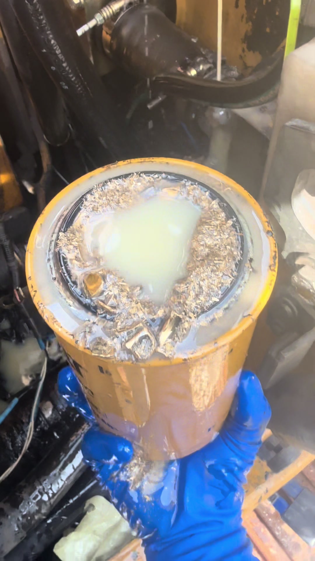 @Txonsitediesel
