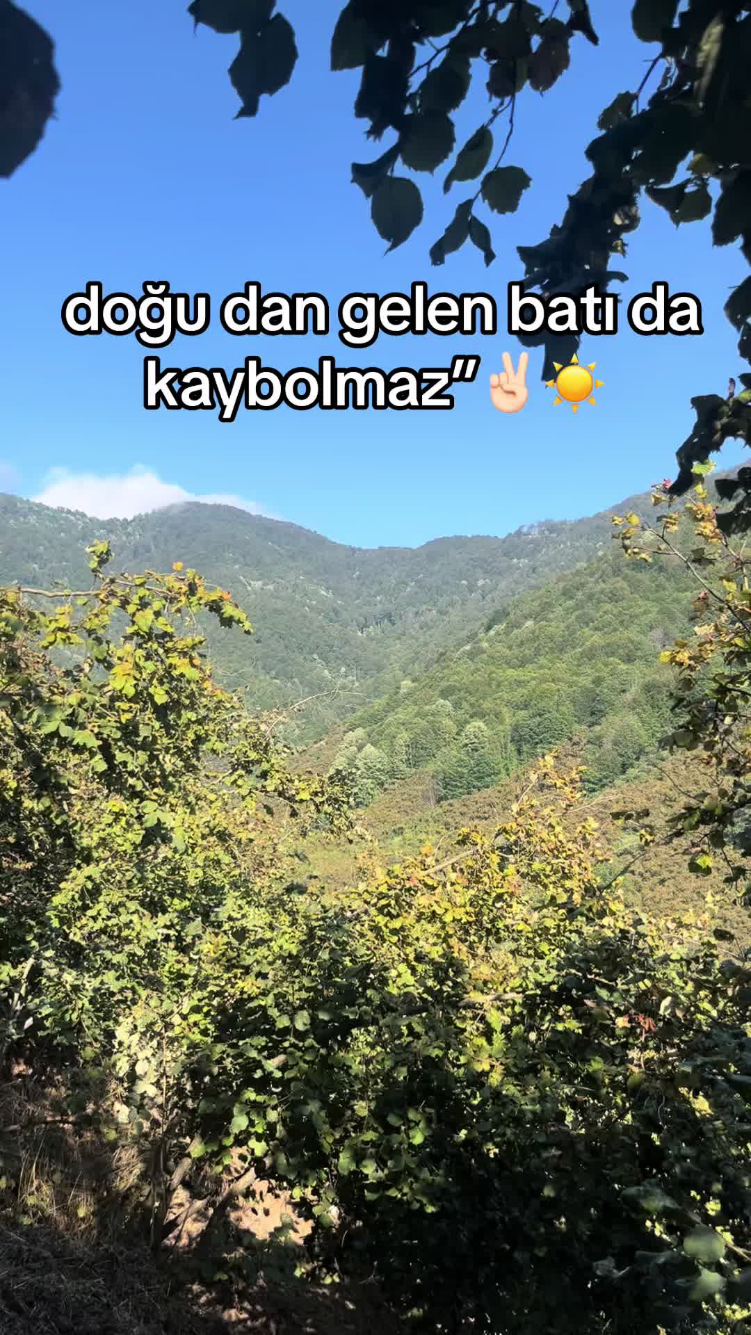 @User.can 🦅