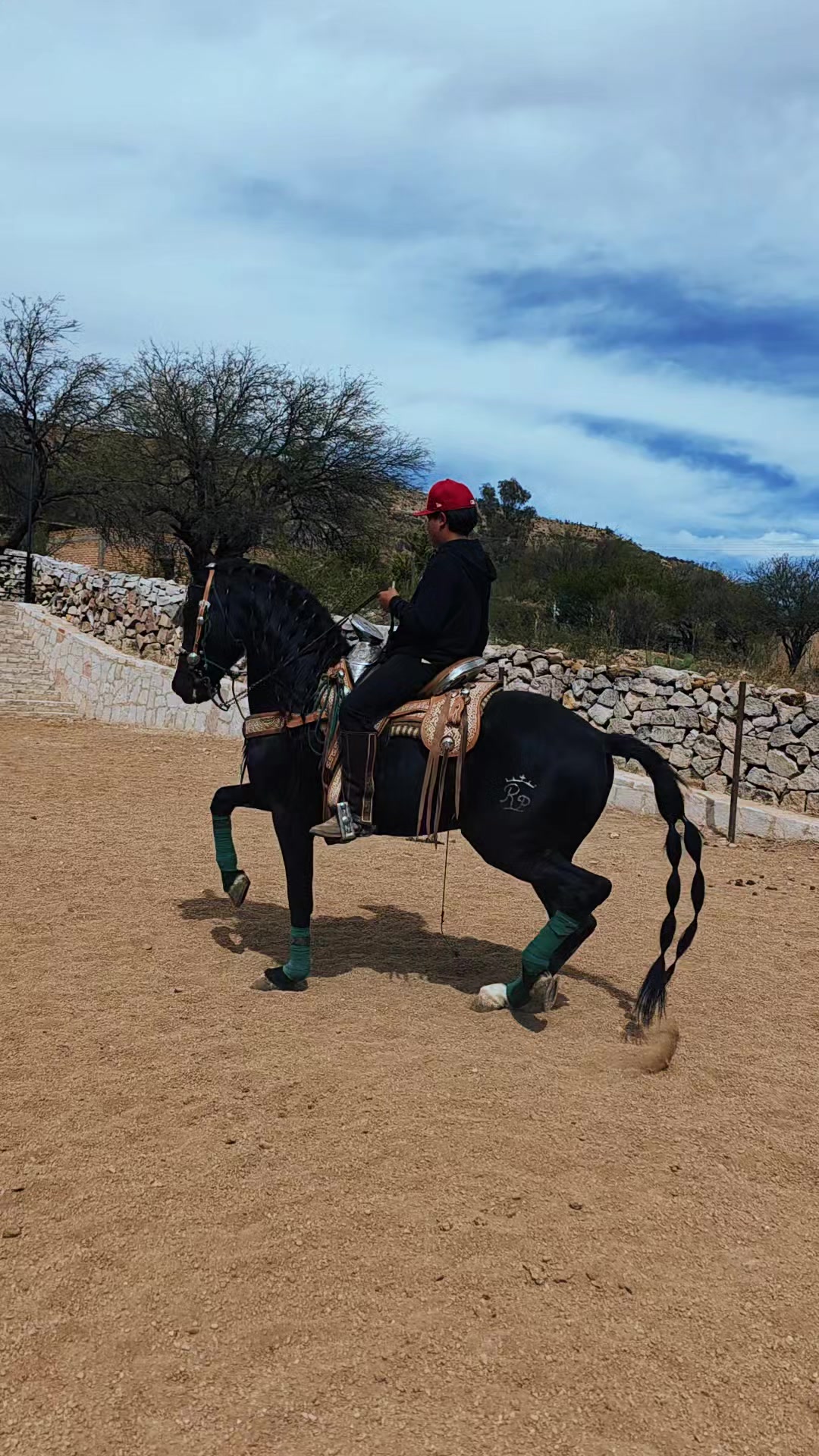 @AlejoRodriguez🎙🐎❤️