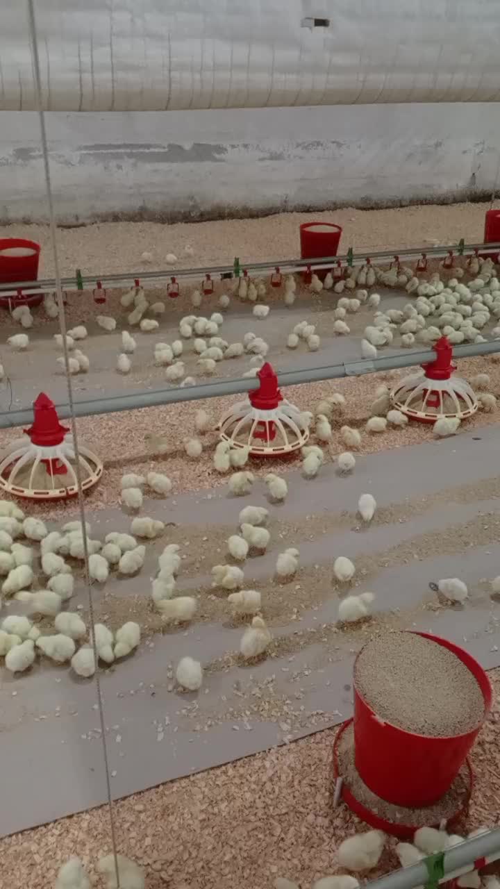 @Gökhanzüleyha Kalkan