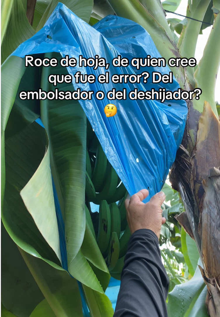 @Mujer Agrícola