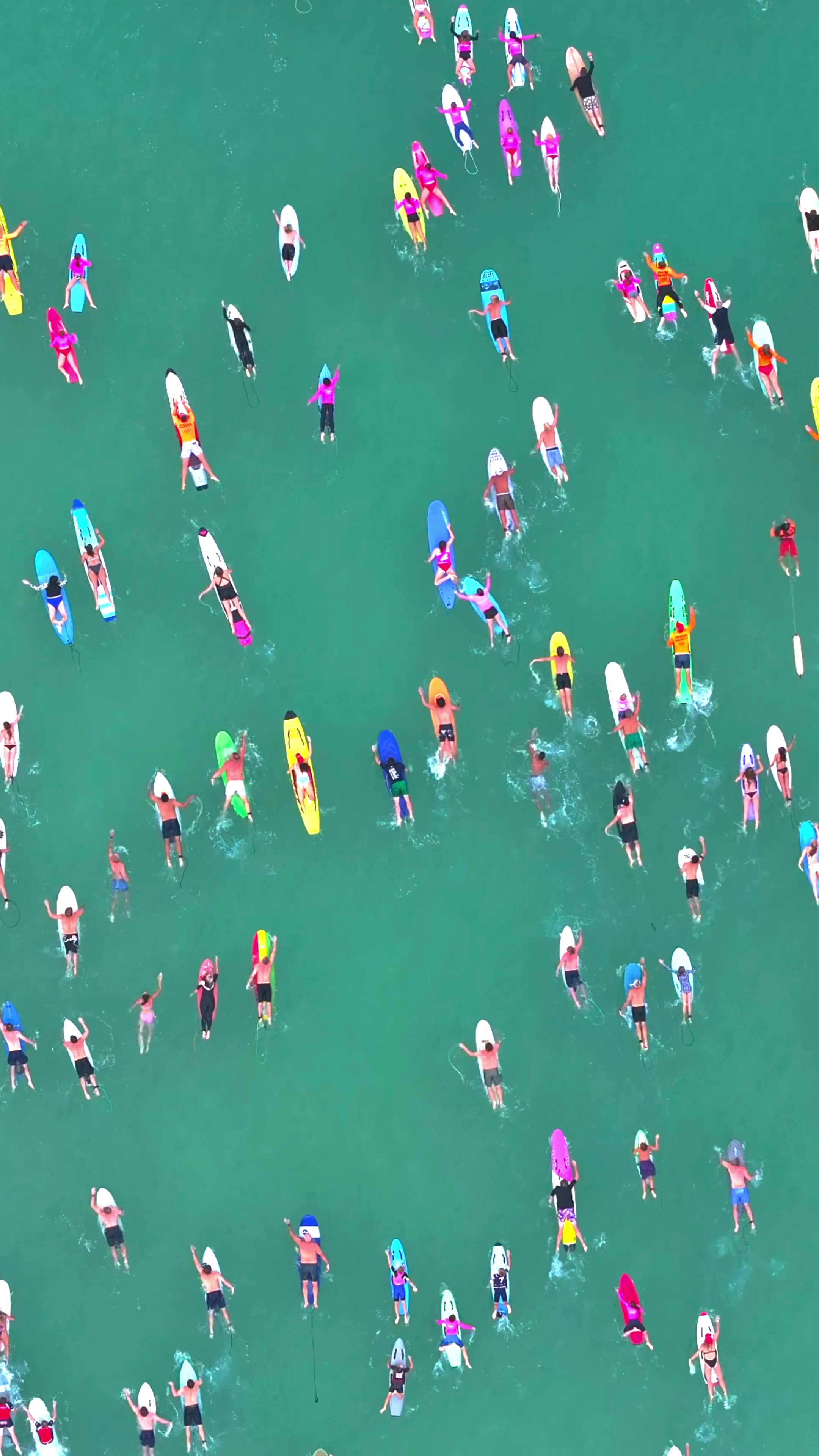 @Dronesharkapp