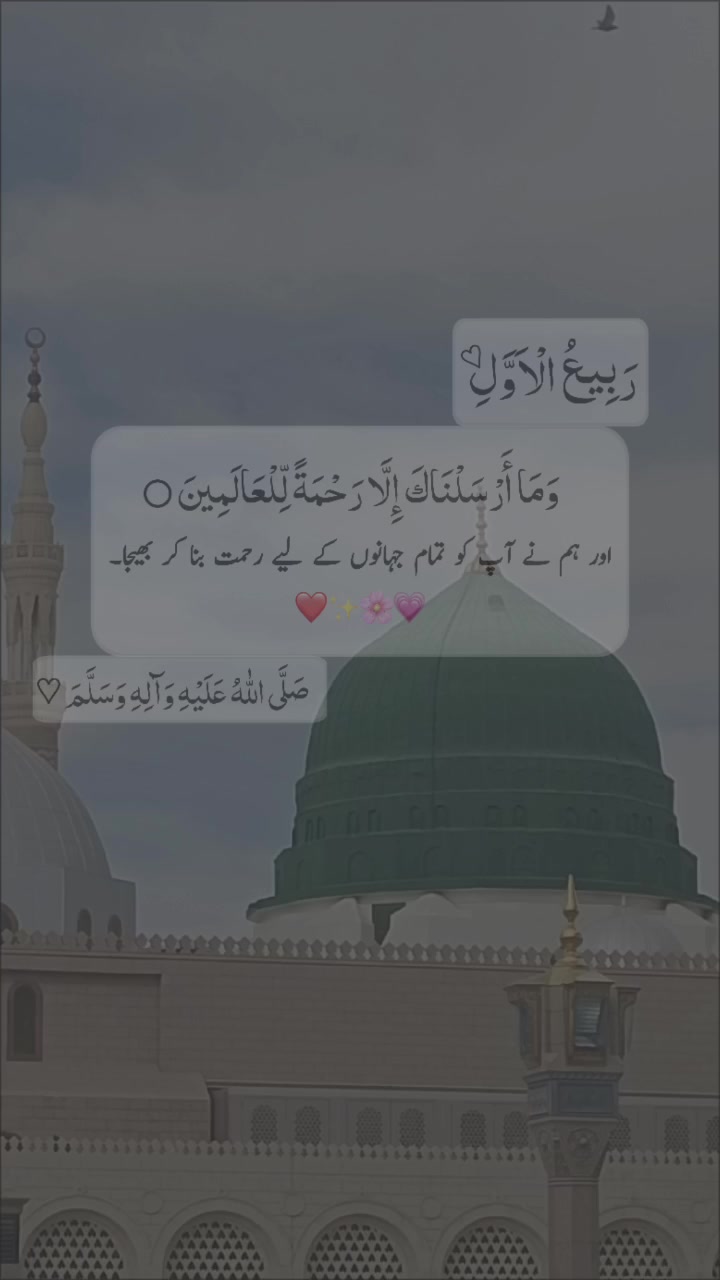 @Qᴜʀᴀᴀᴛᴜʟᴀɪɴ ♡🌸