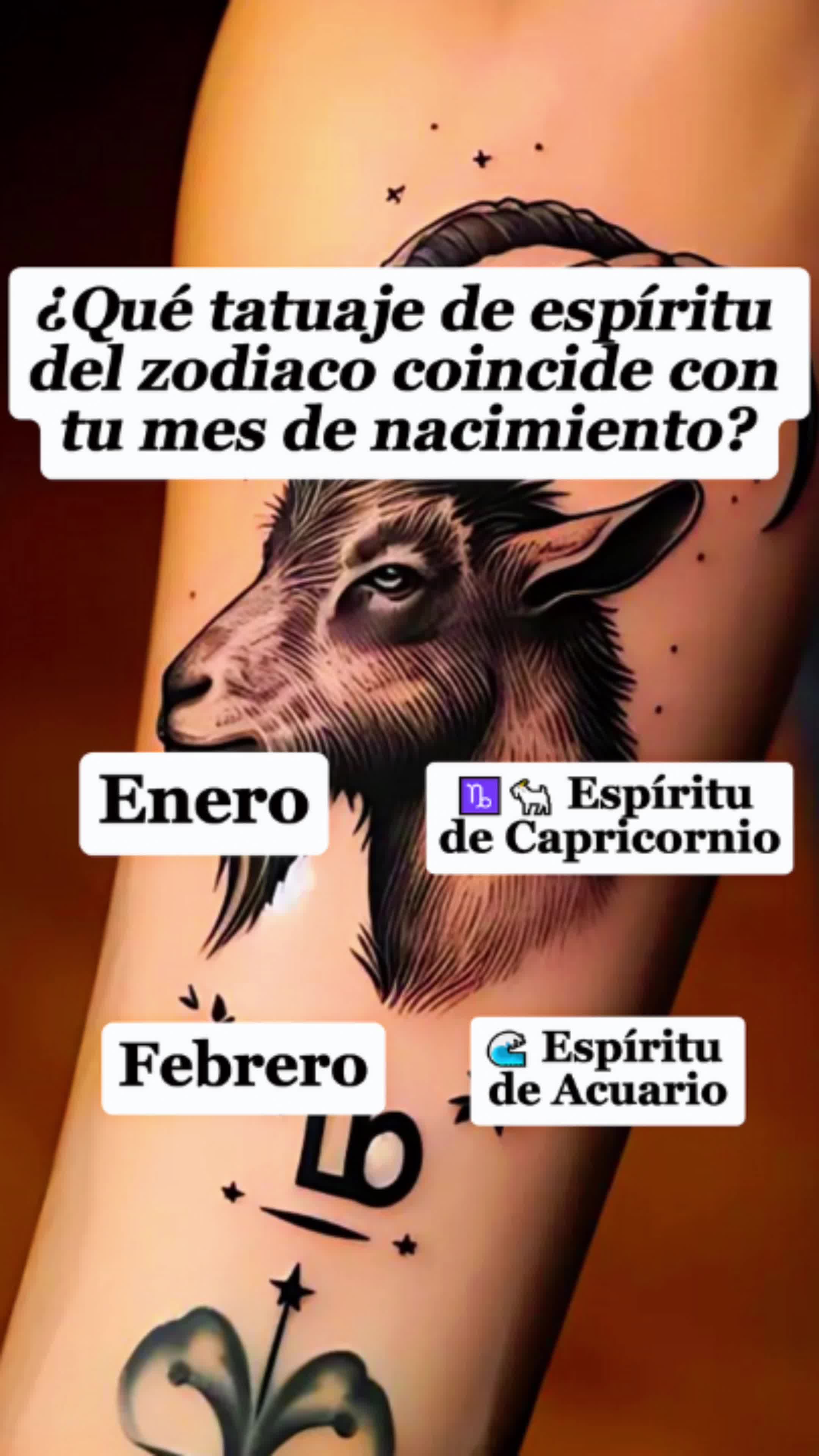 @horselife015