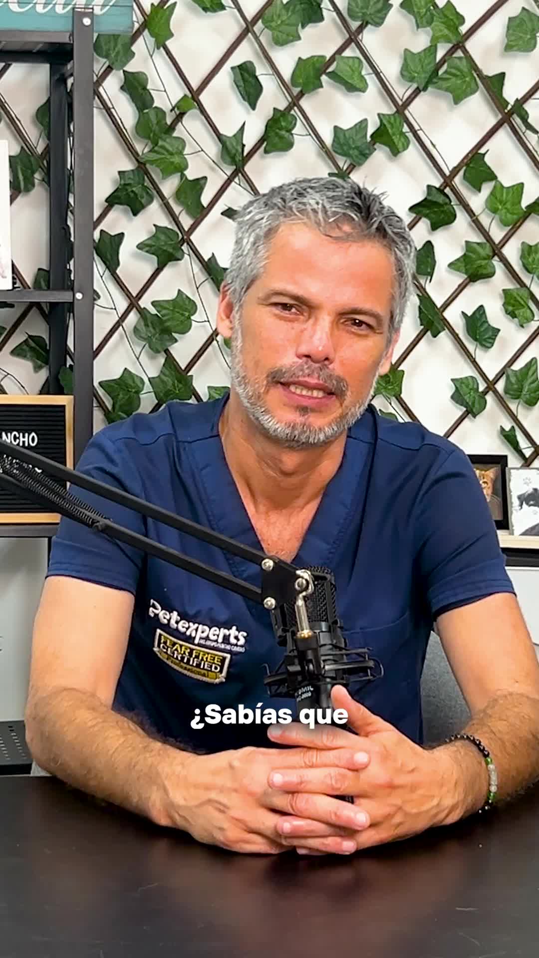 @Pancho Cavero