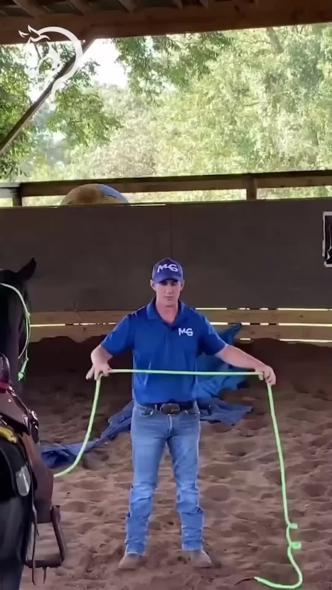 @Horse Help