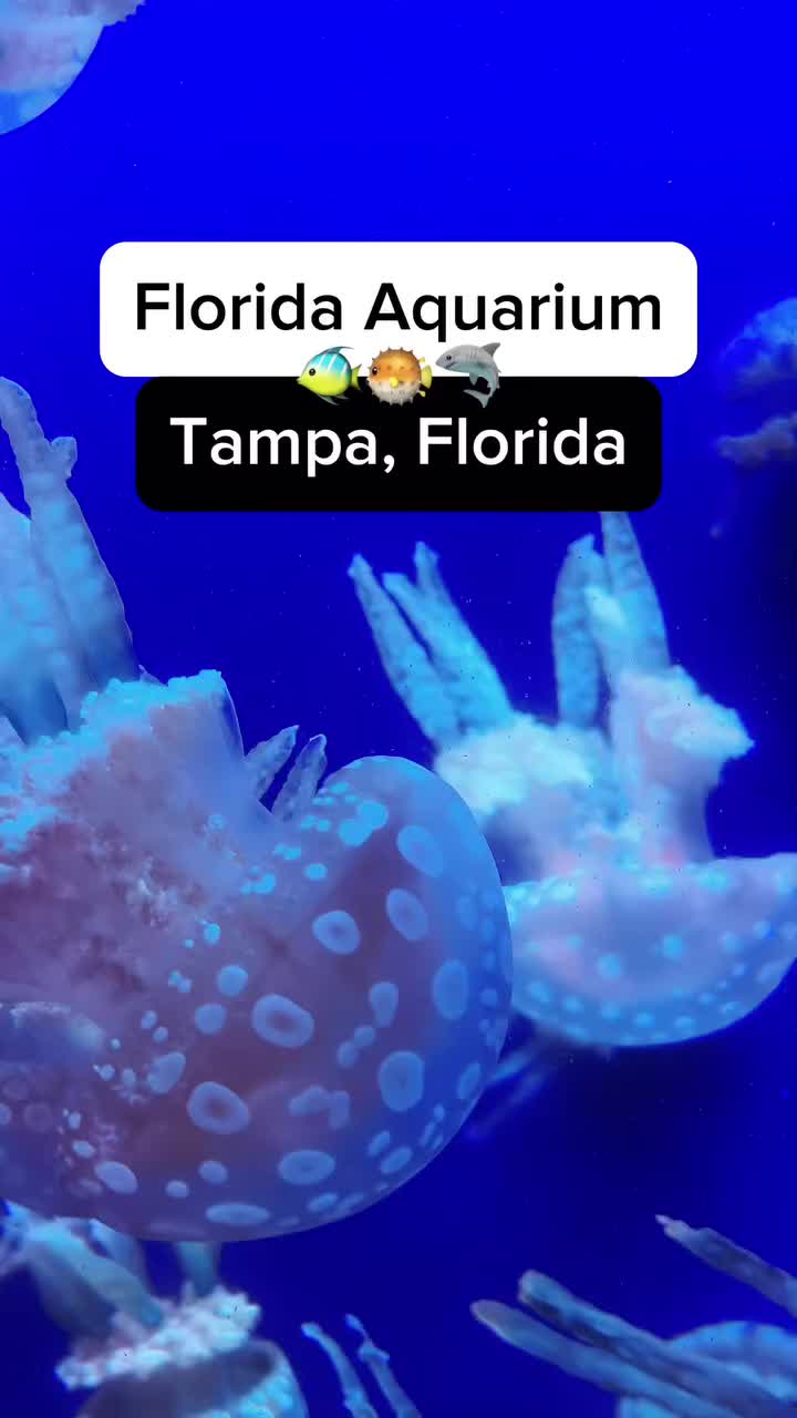 @thefloridaqueenie