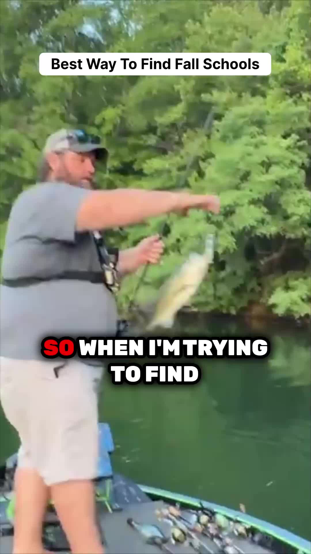 @bassgeek