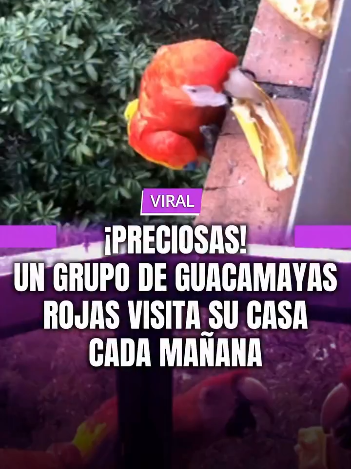 @MINUTO30