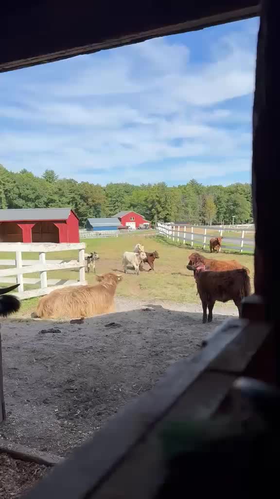 @Next_Level_Highlands