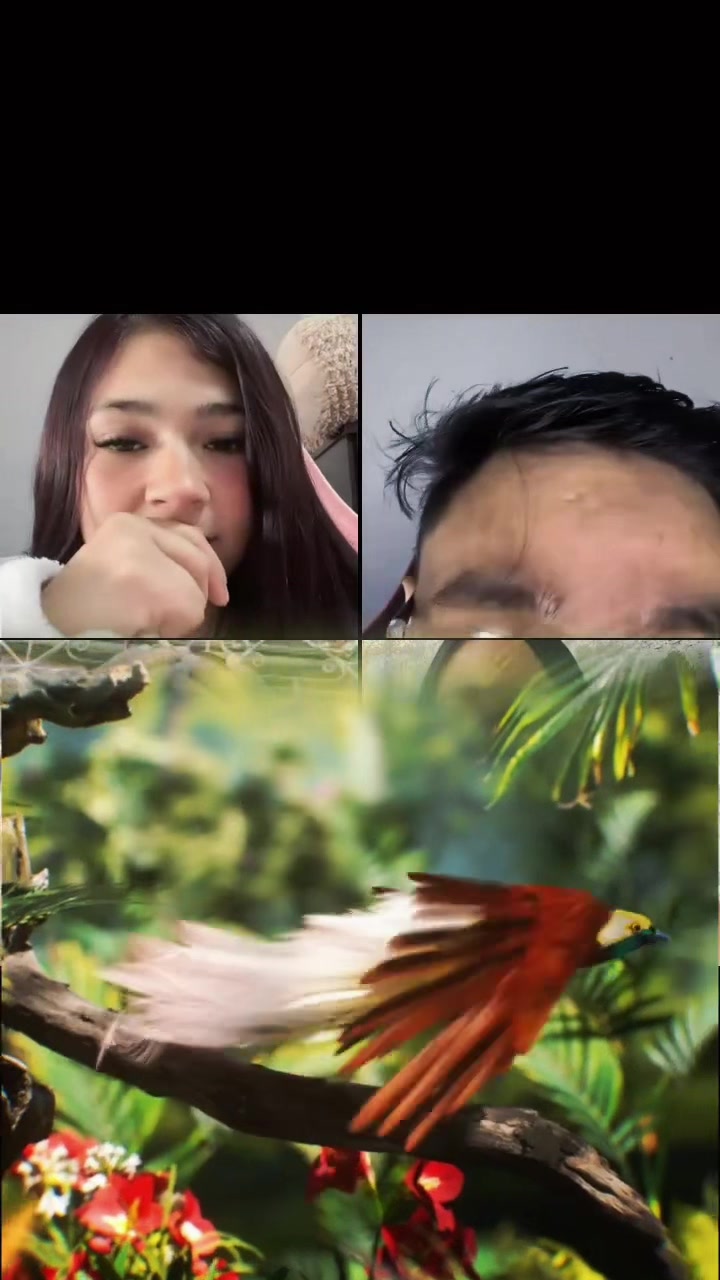 @๐ฆ๐ฒ๐
๐ธ๐
๐
๐ธ๐