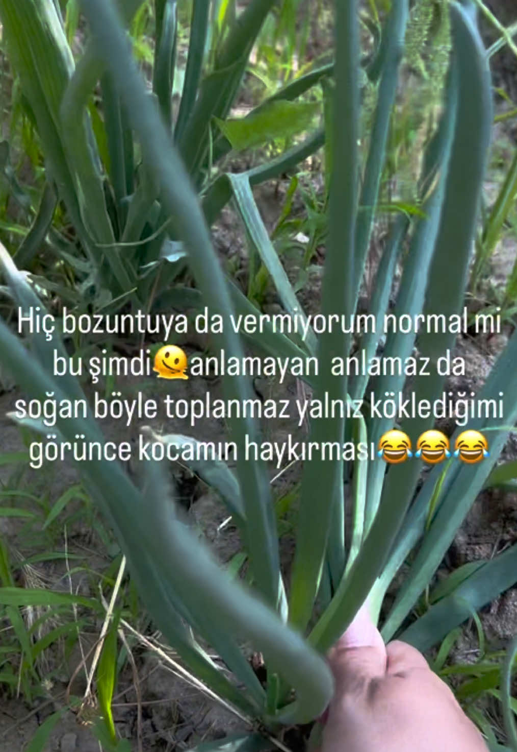 @Kılı&ccedil; Krali&ccedil;esi