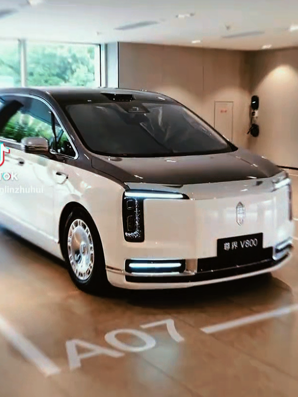 @Great Lion Electric Vehicle
