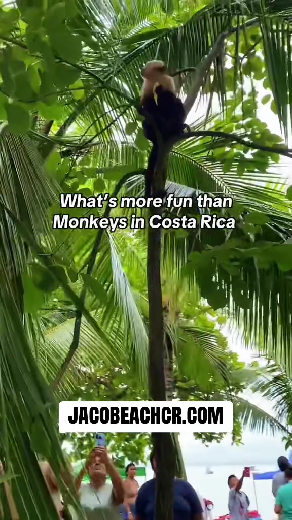 @Clint | Costa Rica 🇨🇷
