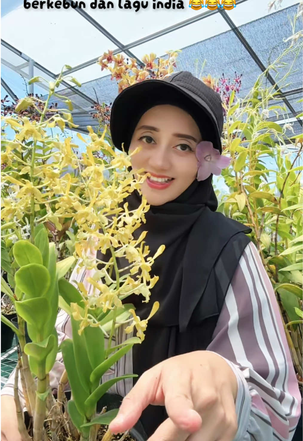 @Anggina Orchid