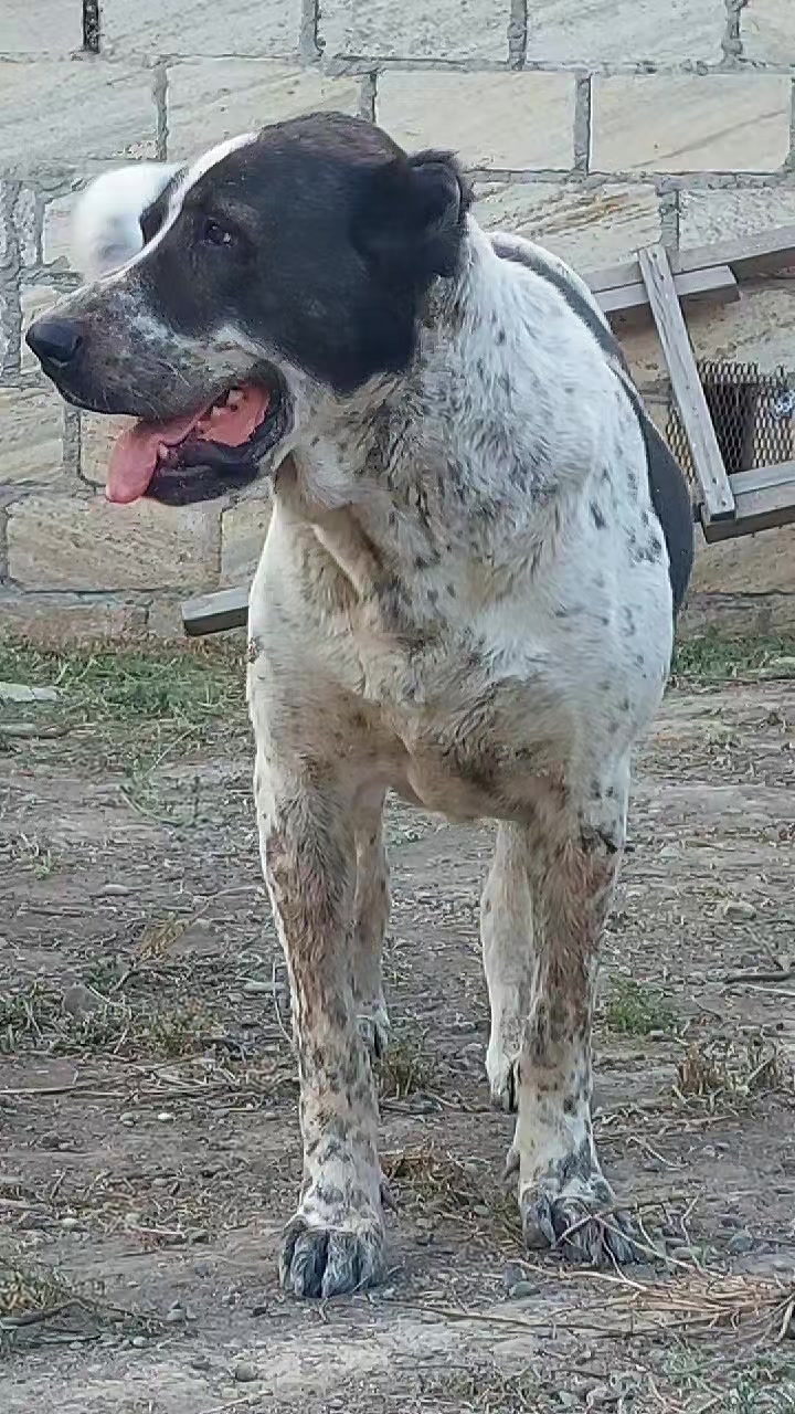 @Elşad__007