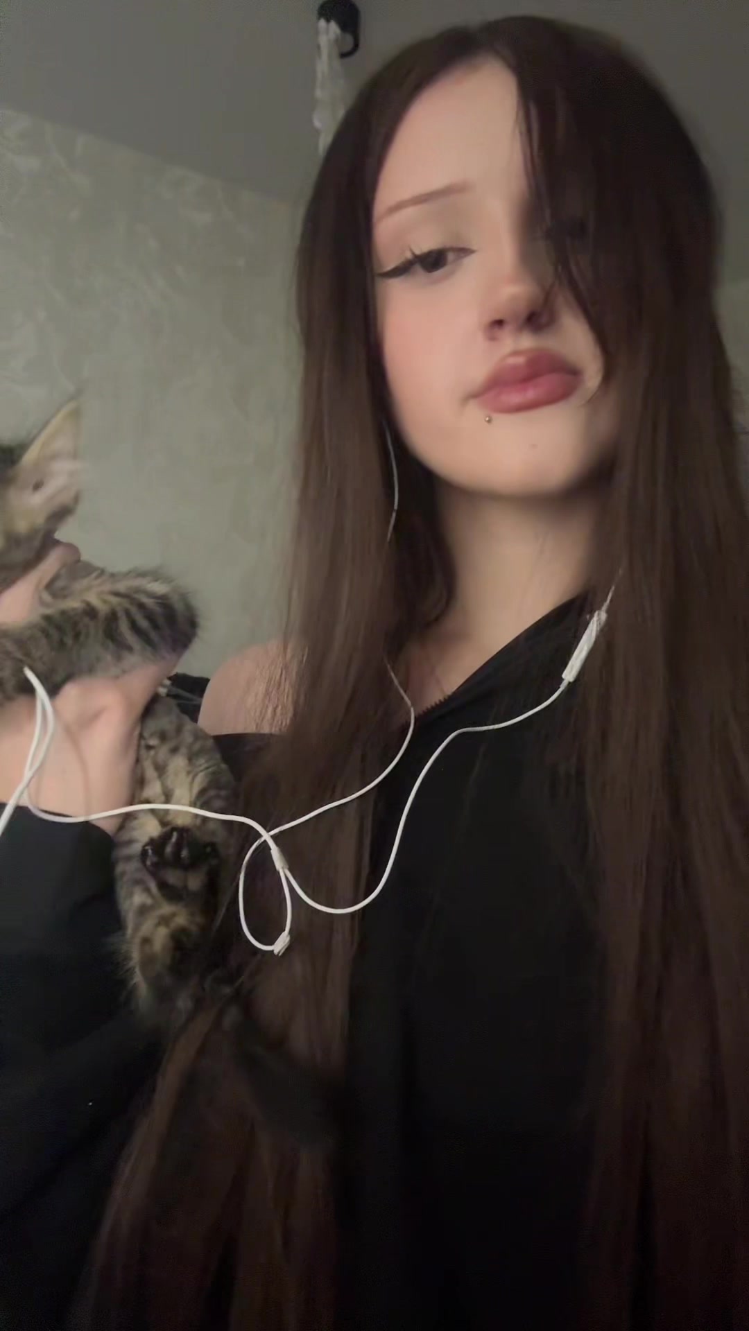 @lavgotika