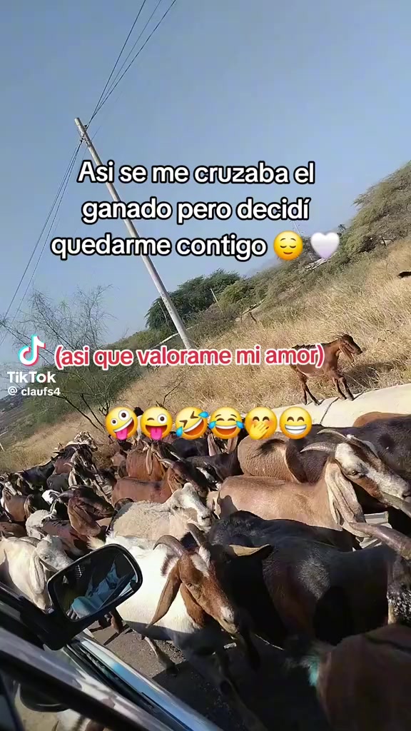 @Betsy Leon 🦁❤️🍑