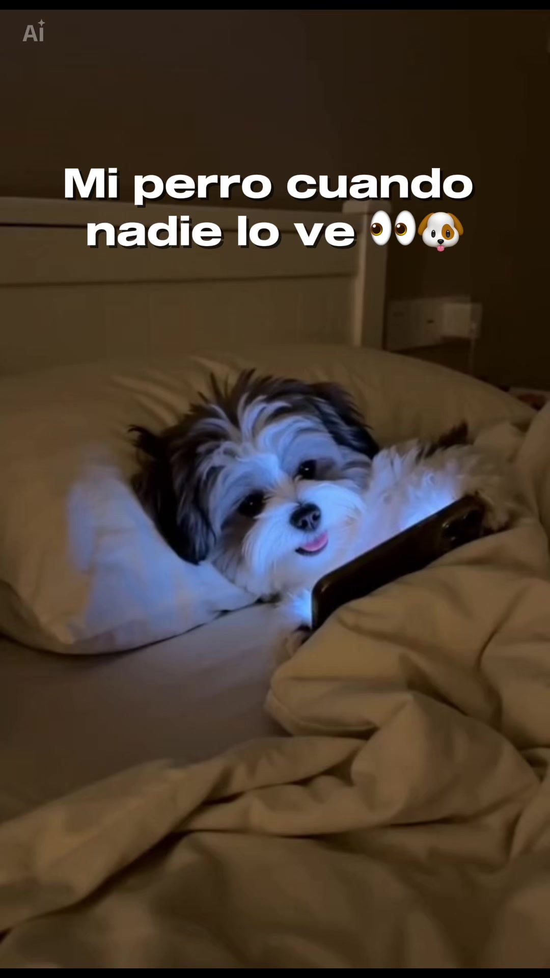 @Jos&eacute; Kush