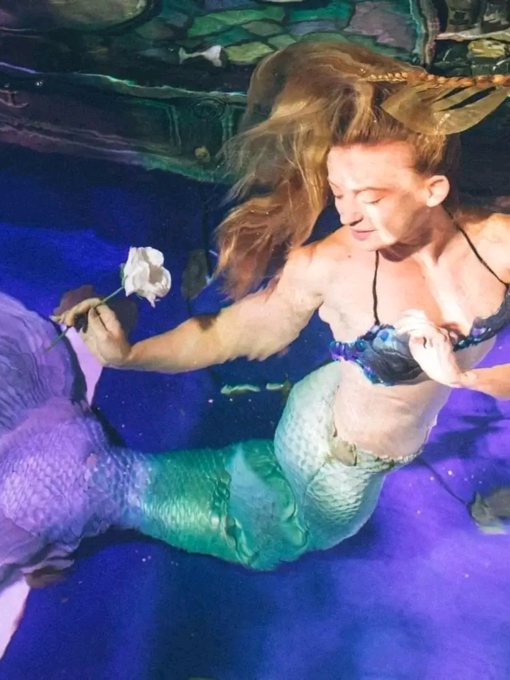 @Dive Bar Mermaids