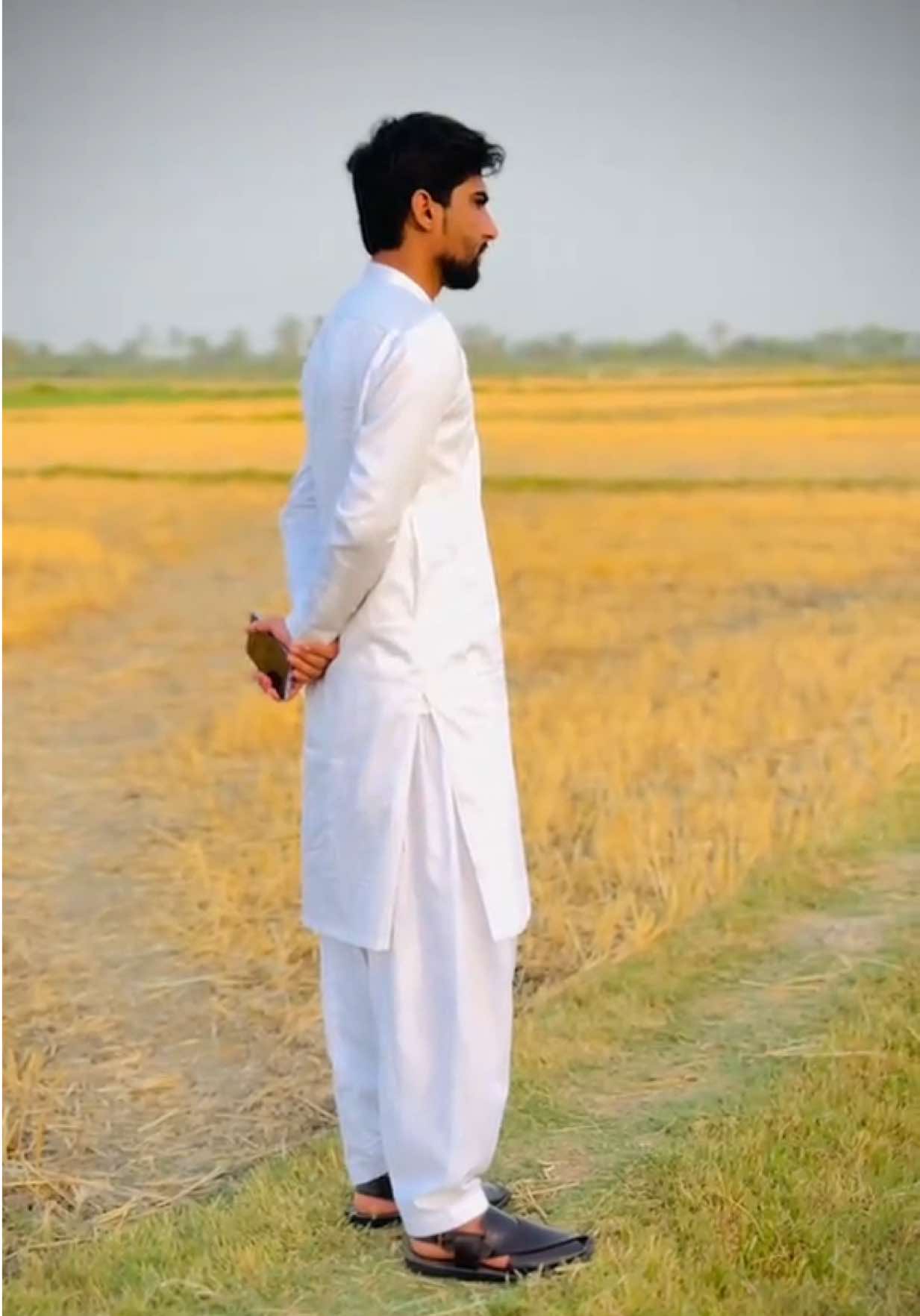 @Muavia Rafiq