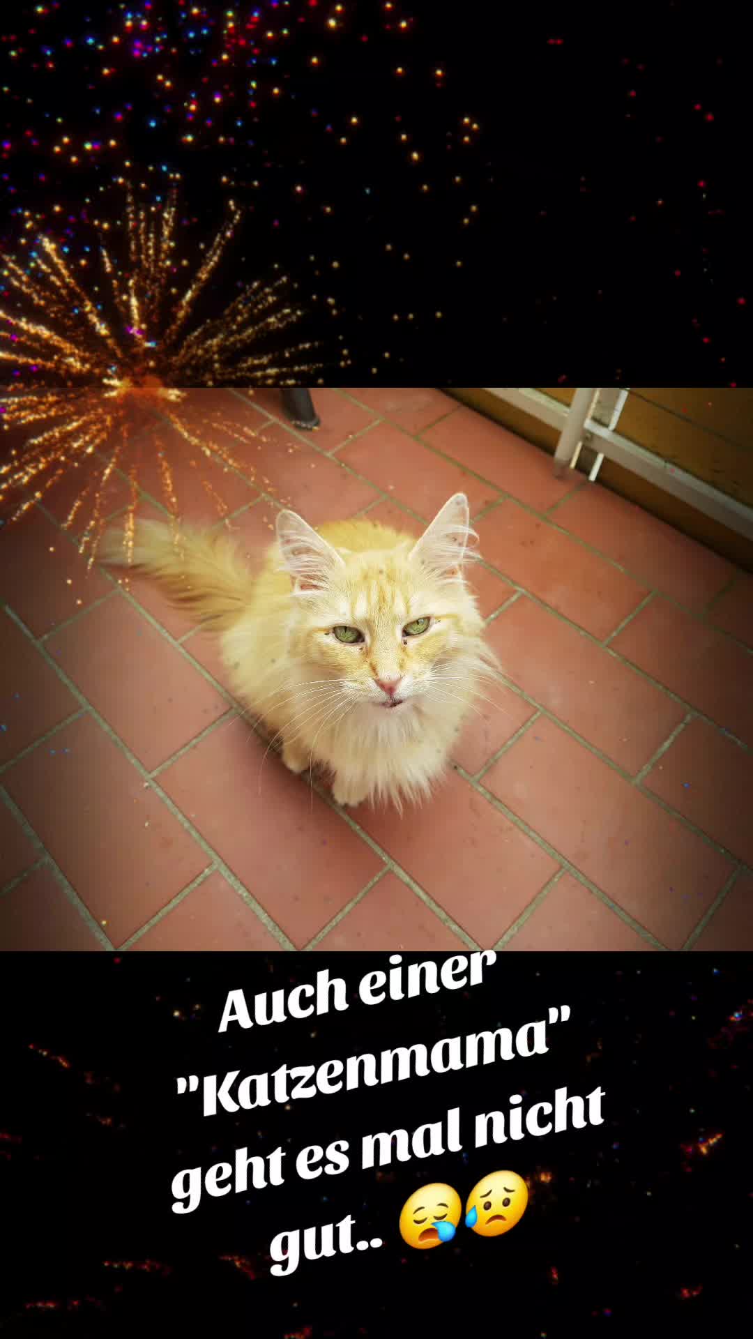 @Smilla und Marcie