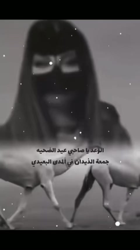@مجهول