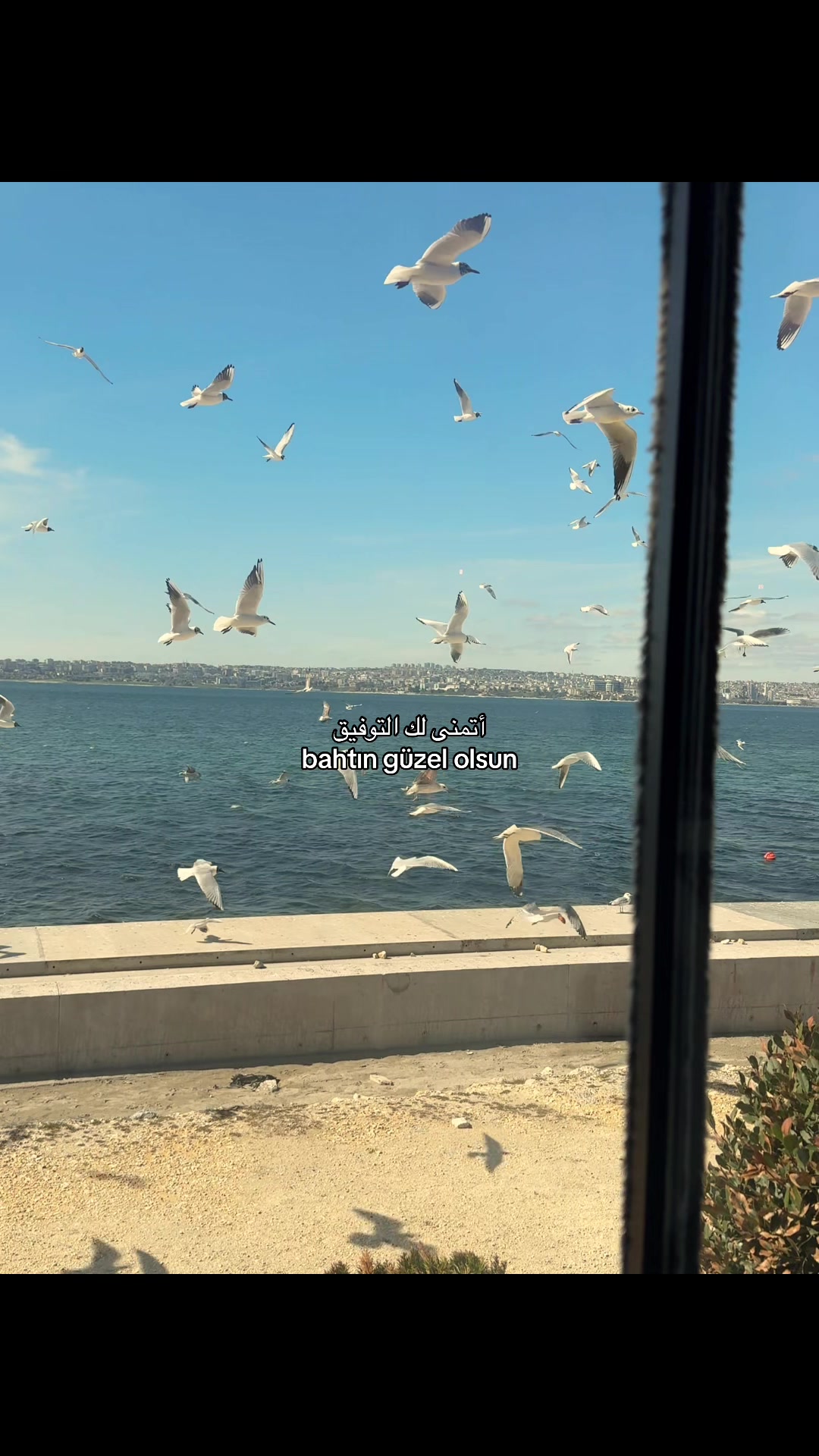 @Dilan