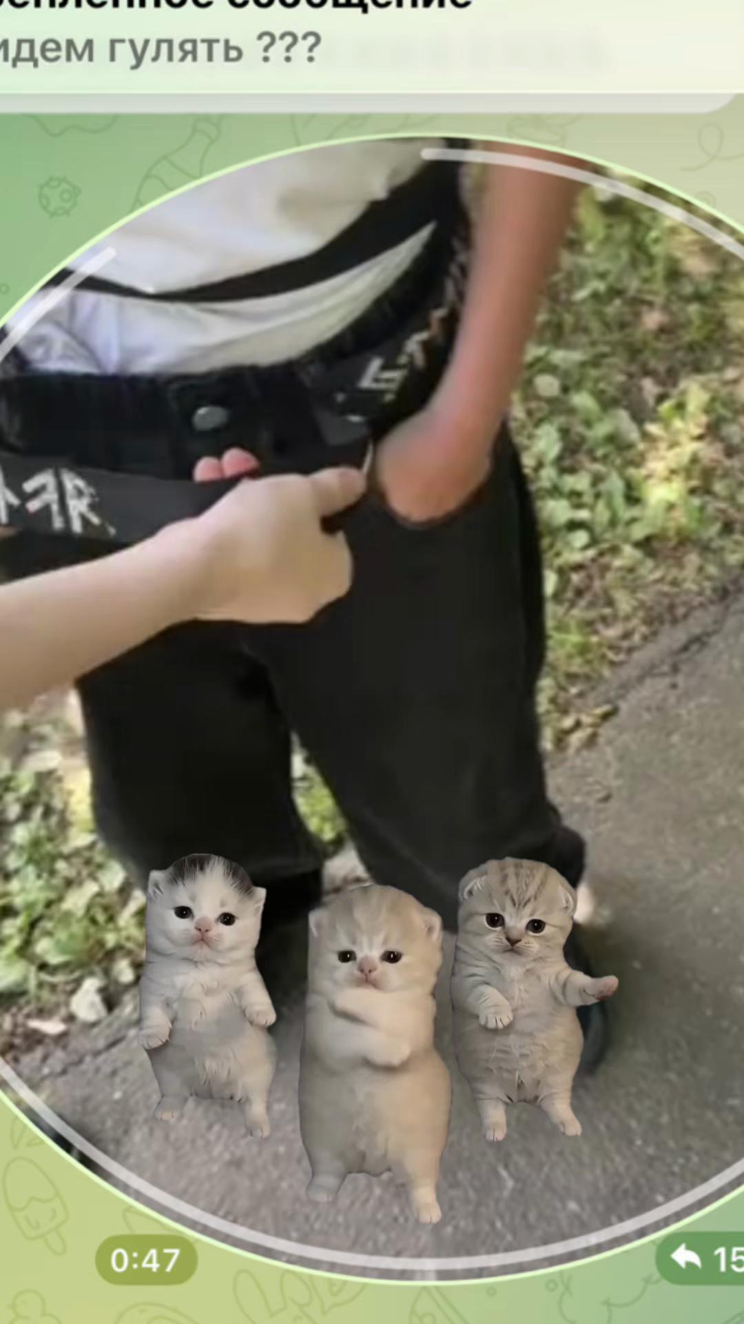 @Кракен|красный беспредел