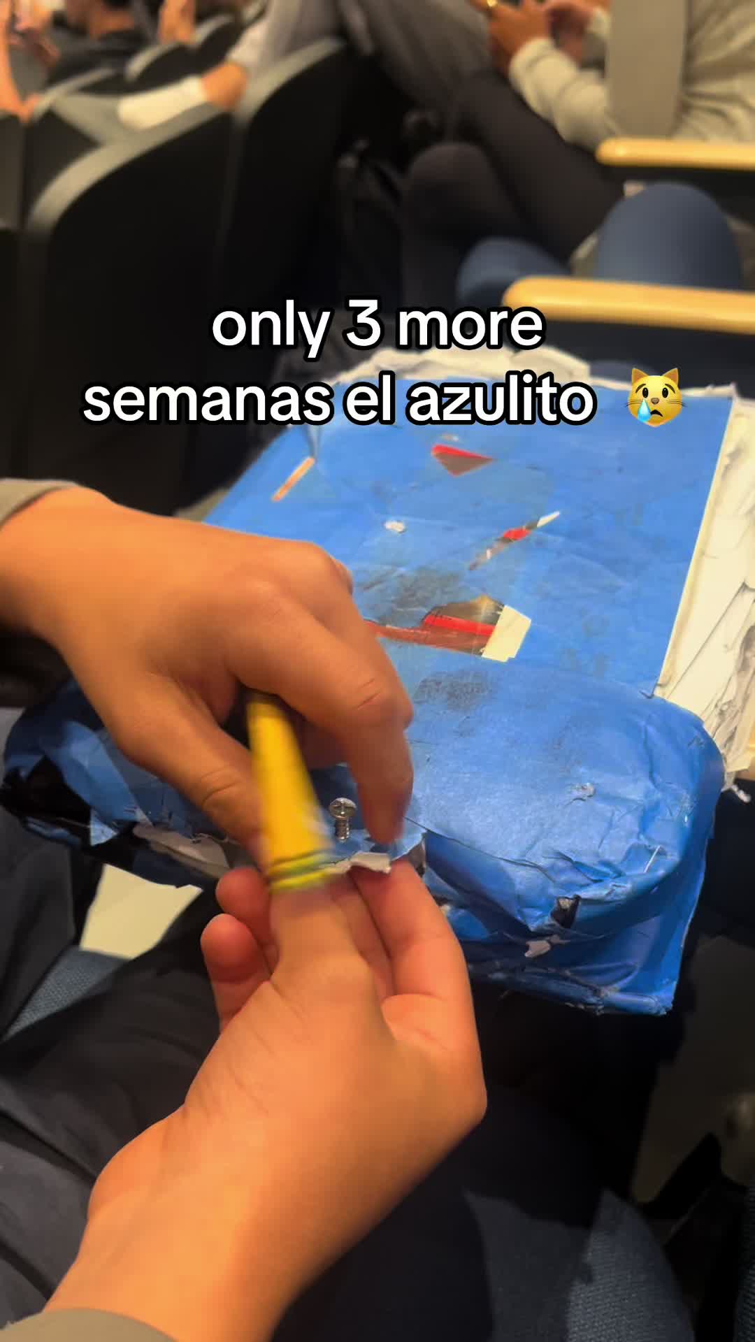@christine velez