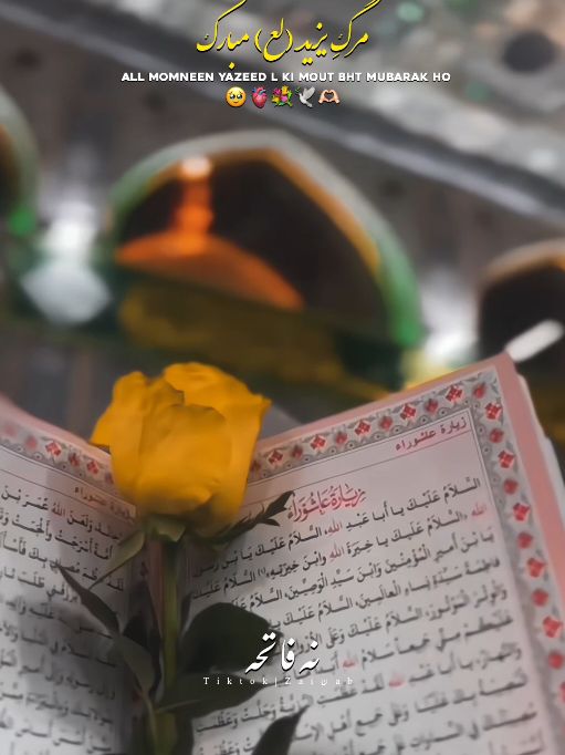 @𝐙𝐀𝐈ن𝐀𝐛ރ