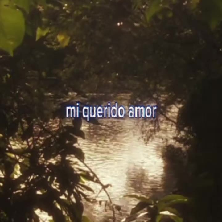 @brenda
