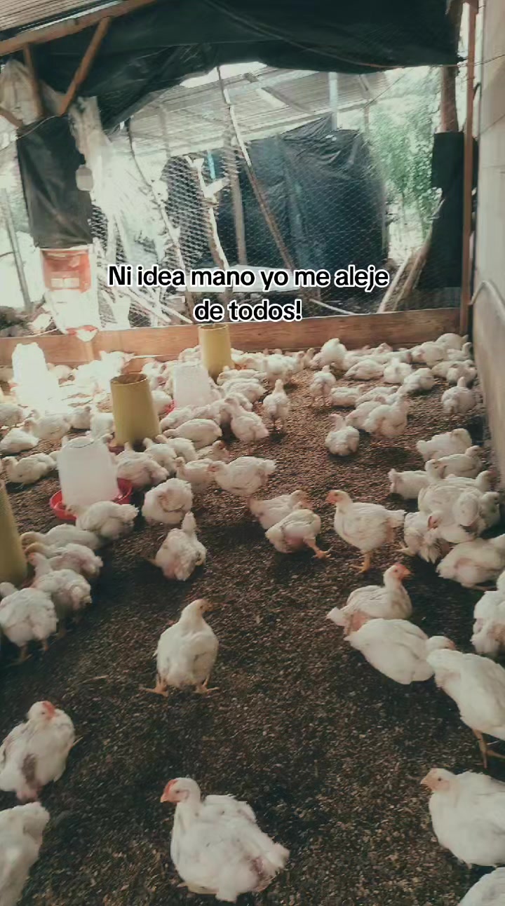 @ElyAlonzo