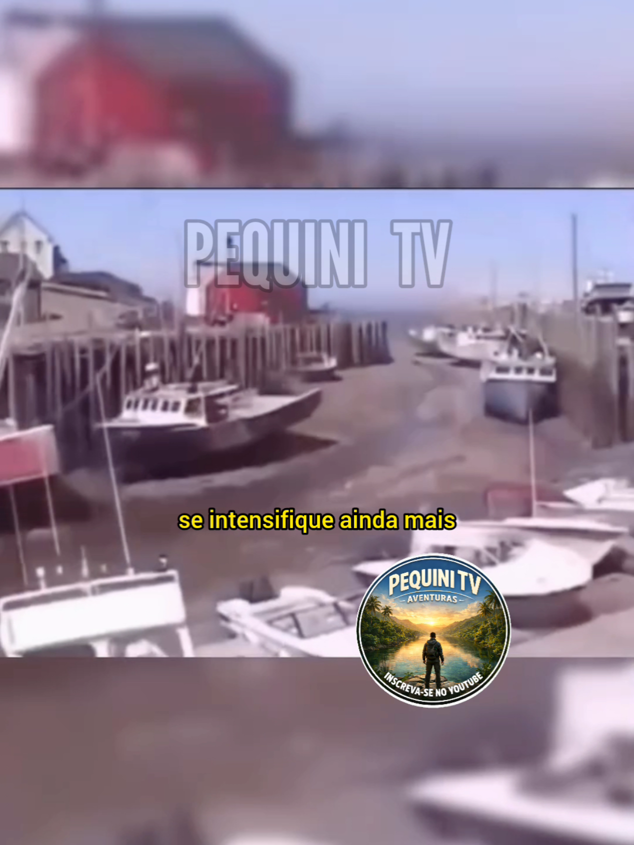 @PEQUINI TV