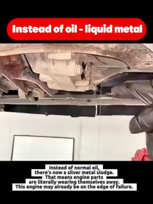 @digitl63🇨🇦
