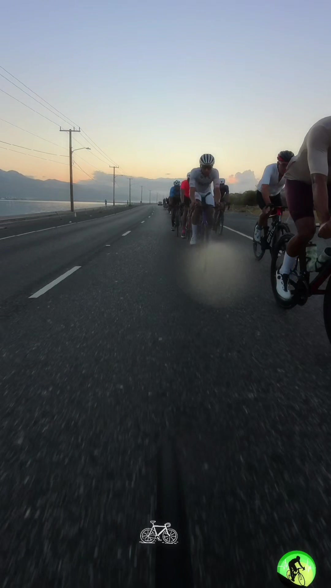 @pedalpulse