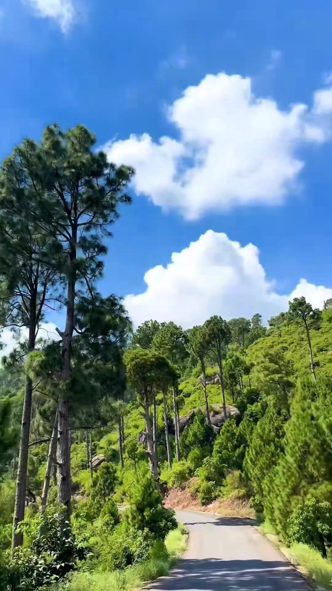 @Adi Raj