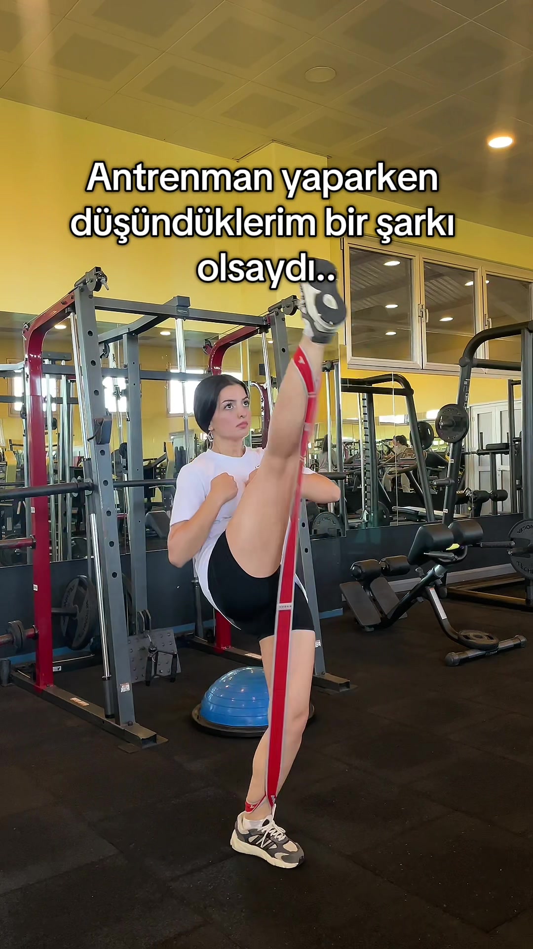 @ipek