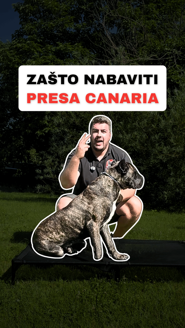 @superdog.akademija