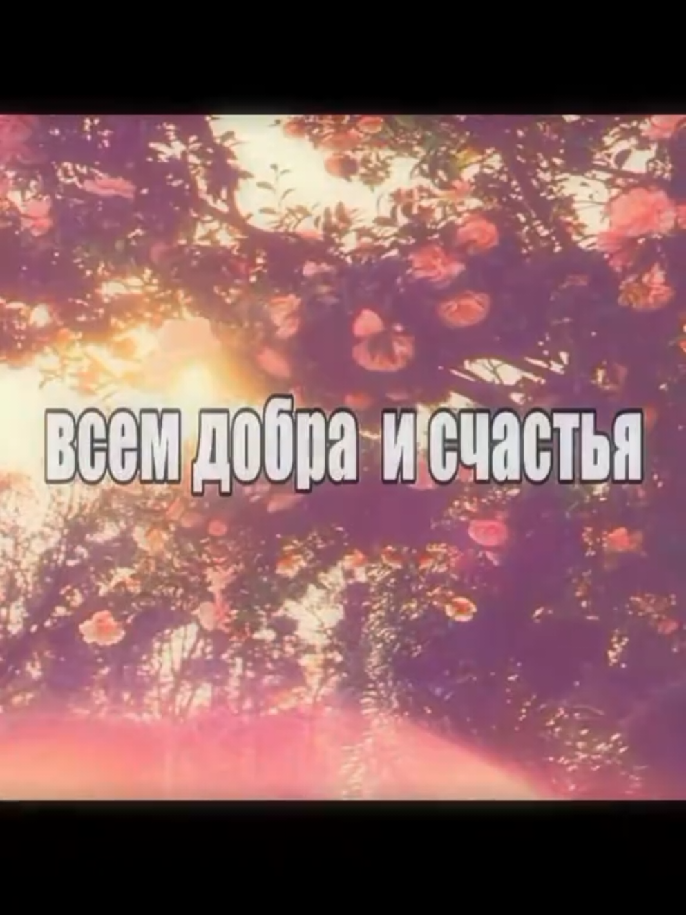 @Алекс Кот