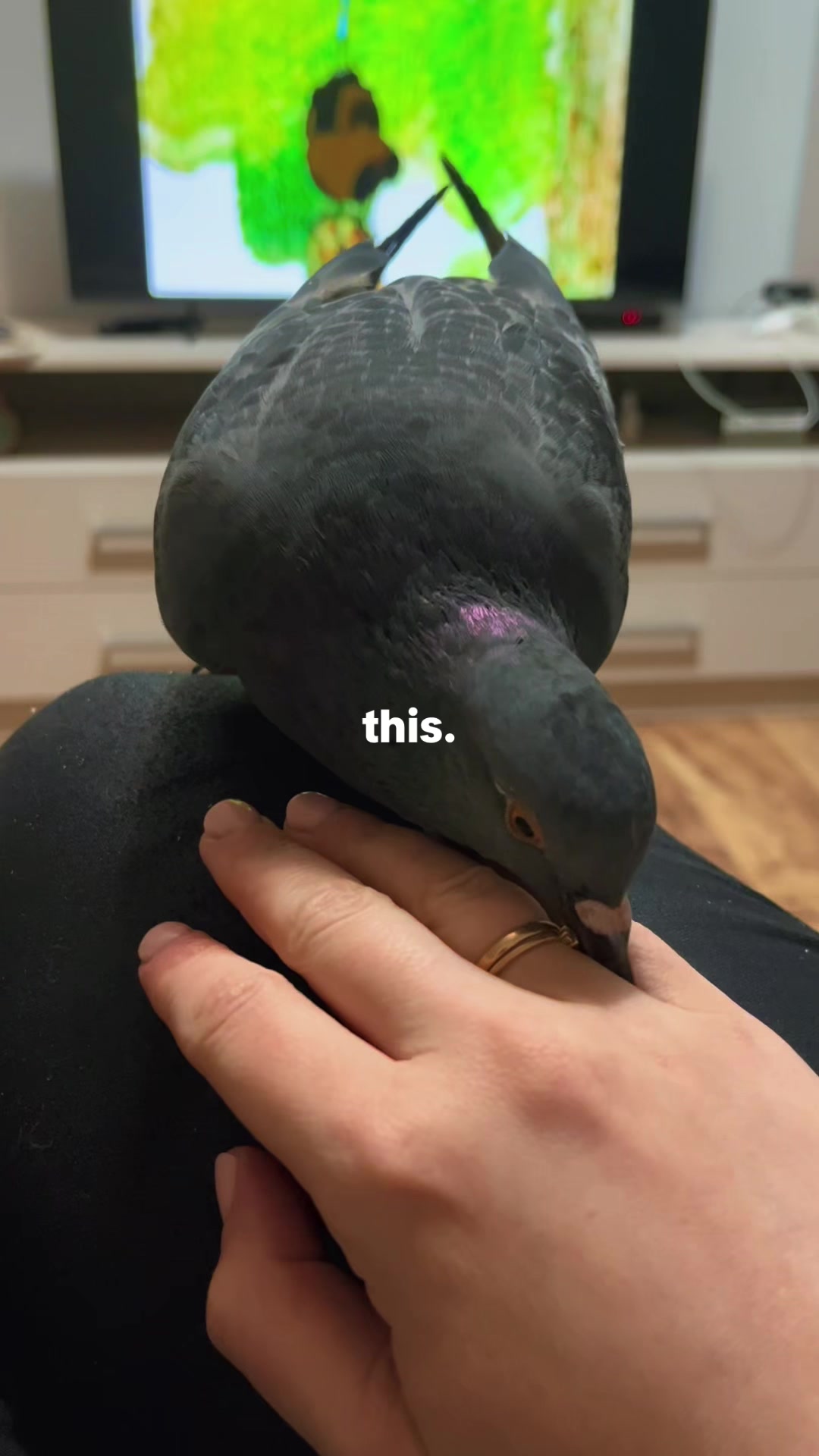@Kate_Core