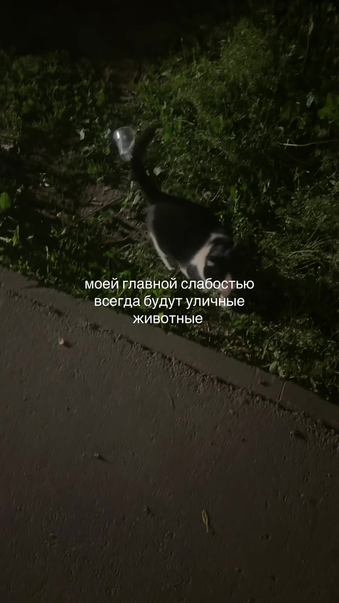 @𝑆𝑜𝑛𝑦𝑎