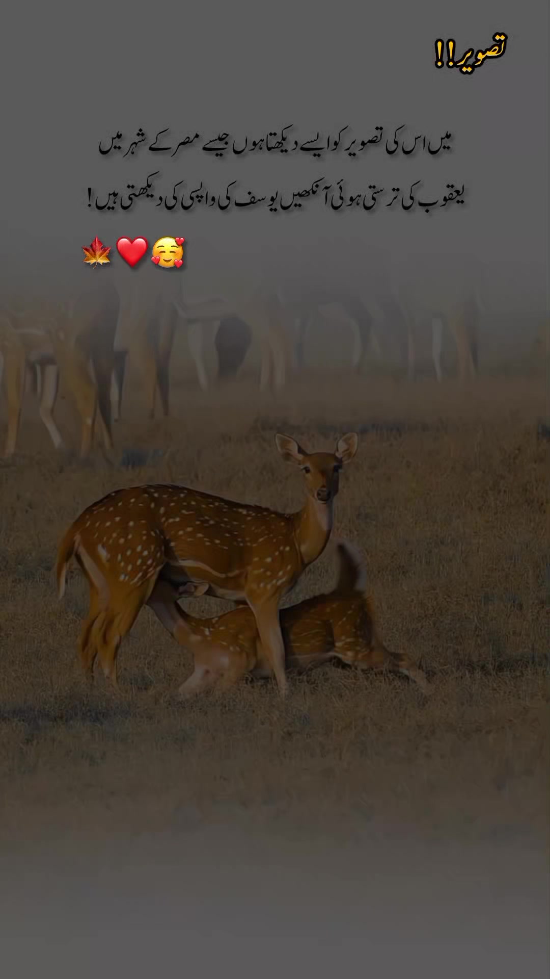 @درد دل