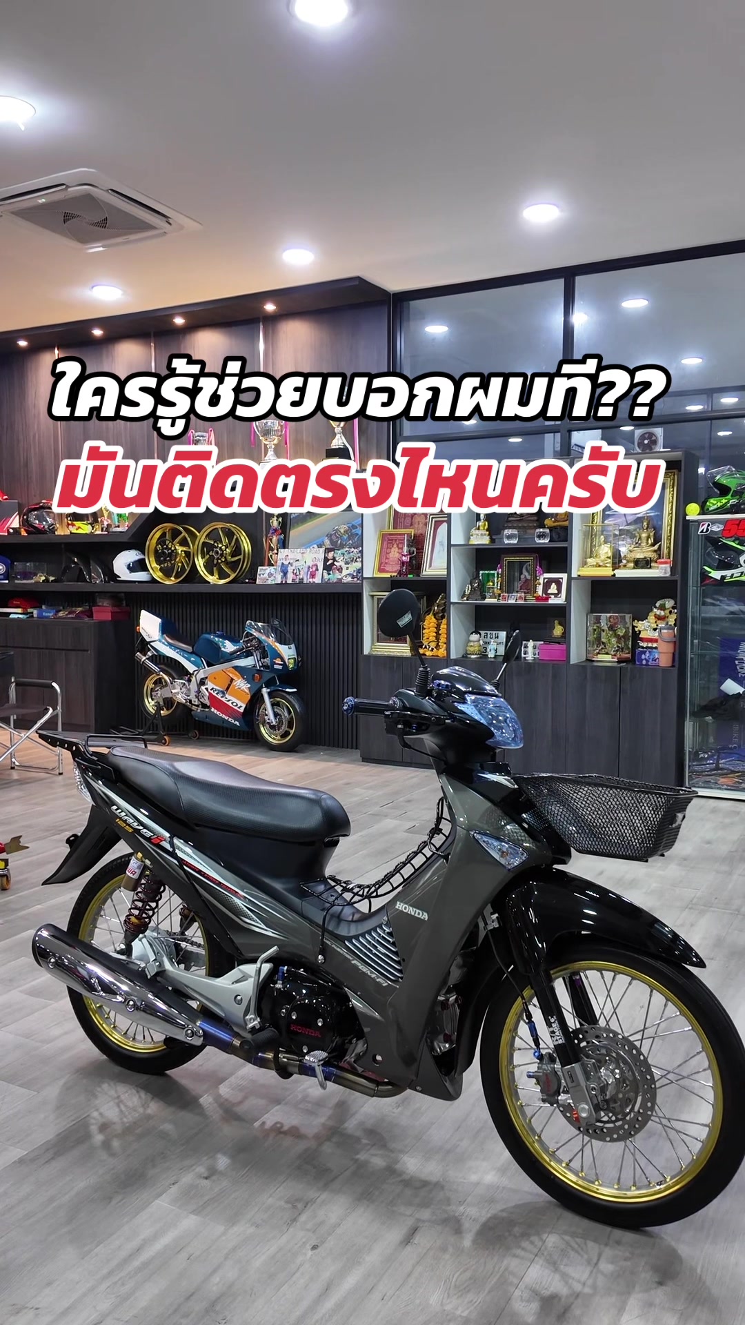 @Gu Max