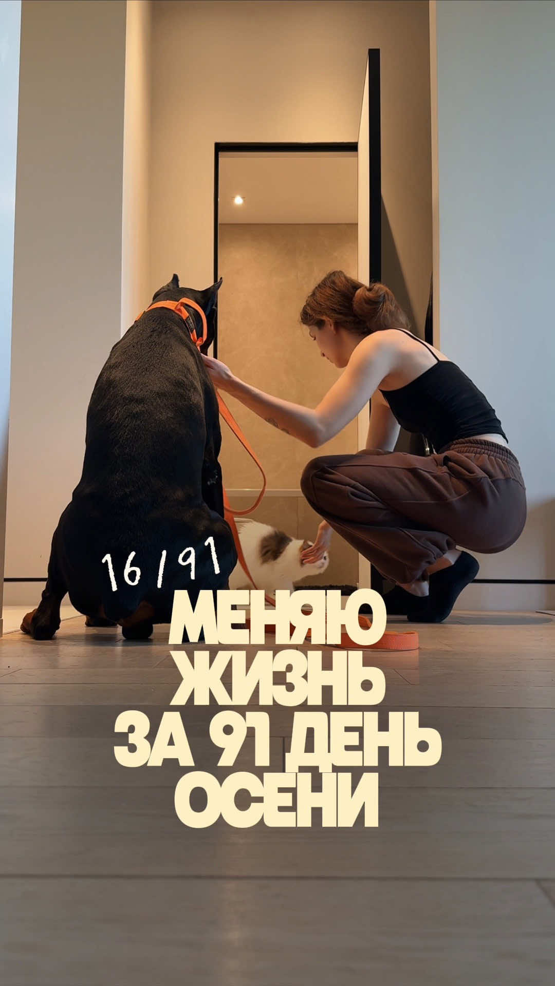 @Дари Доберс