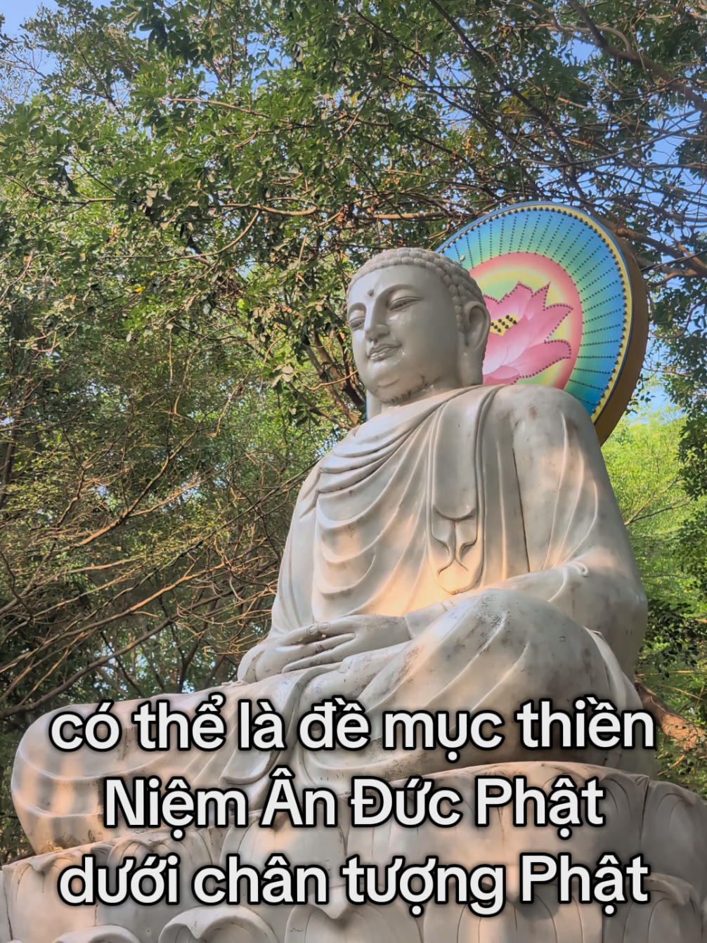 @Phước Bảo Ân
